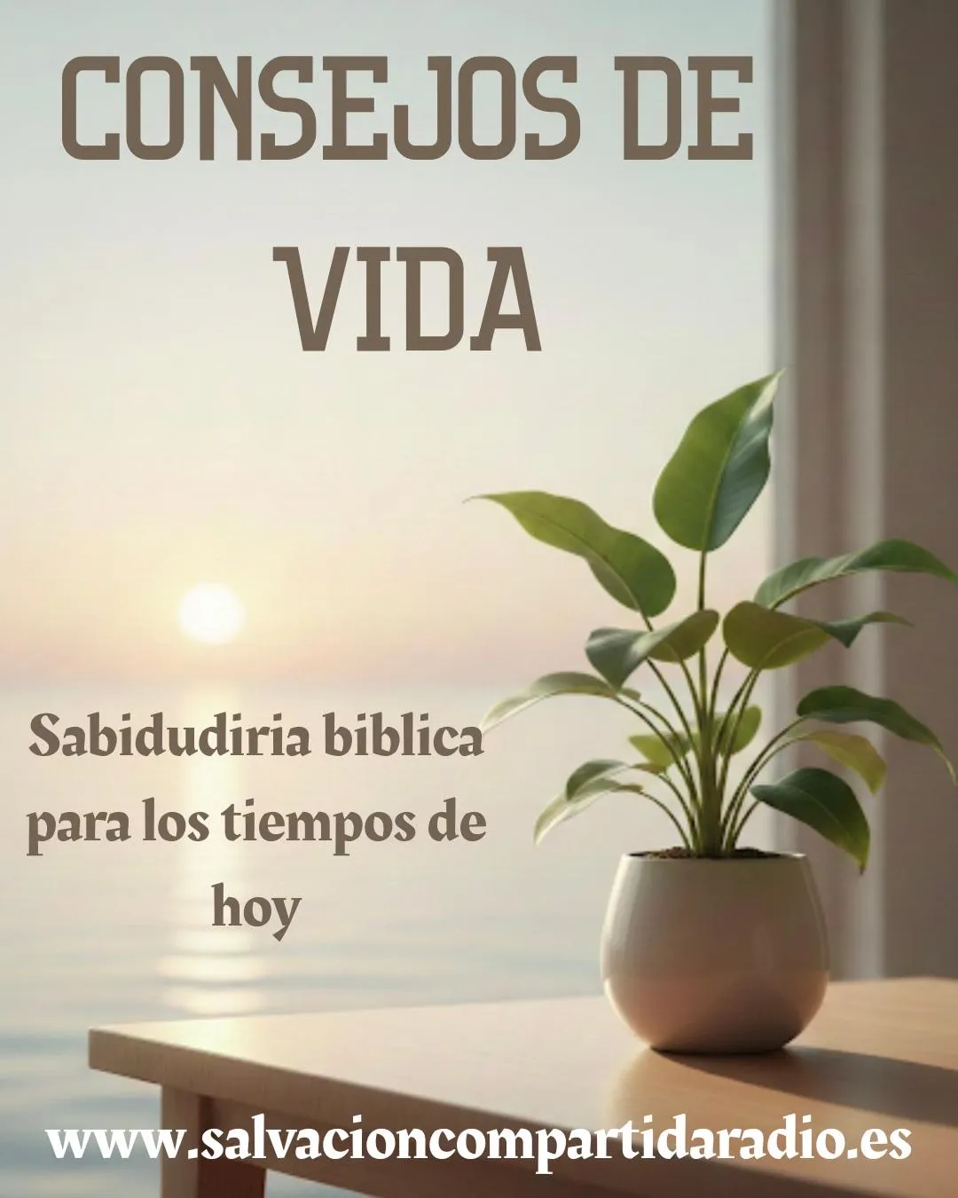 Portada de CONSEJOS DE VIDA